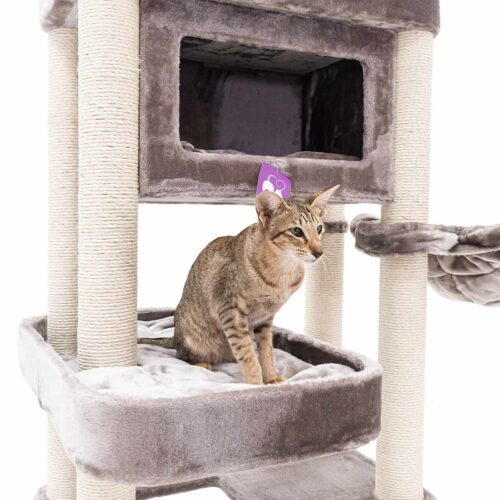 435997-Mansion-150-cappuccino-4-500x500