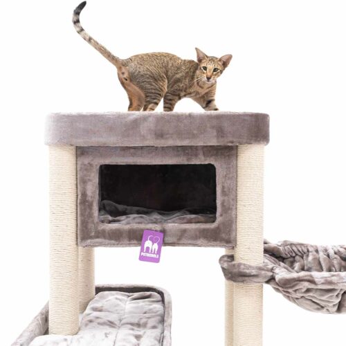 435997-Mansion-150-cappuccino-8-500x500