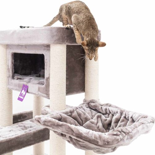 435997-Mansion-150-cappuccino-6-500x500