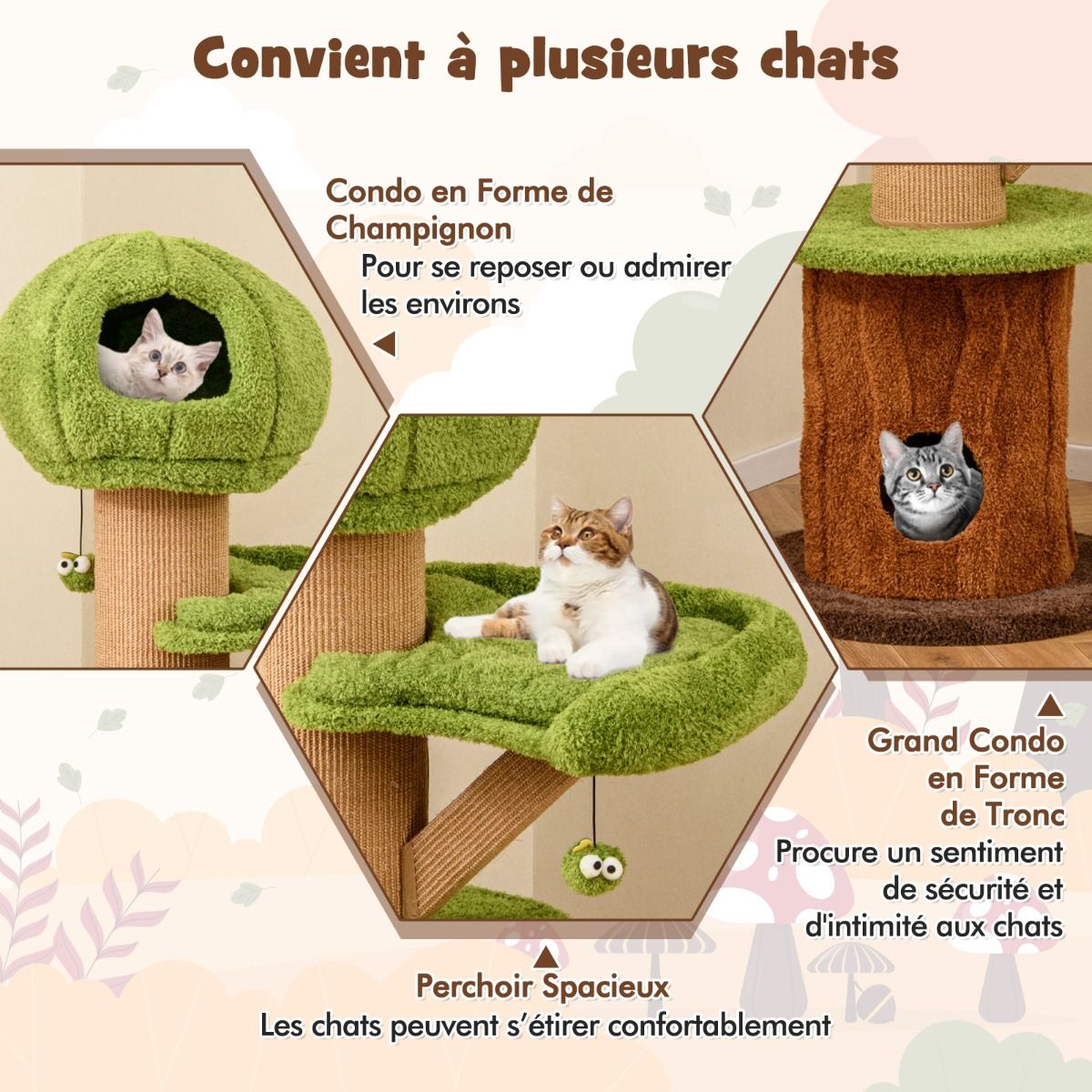 arbre_chat-84021379_6_