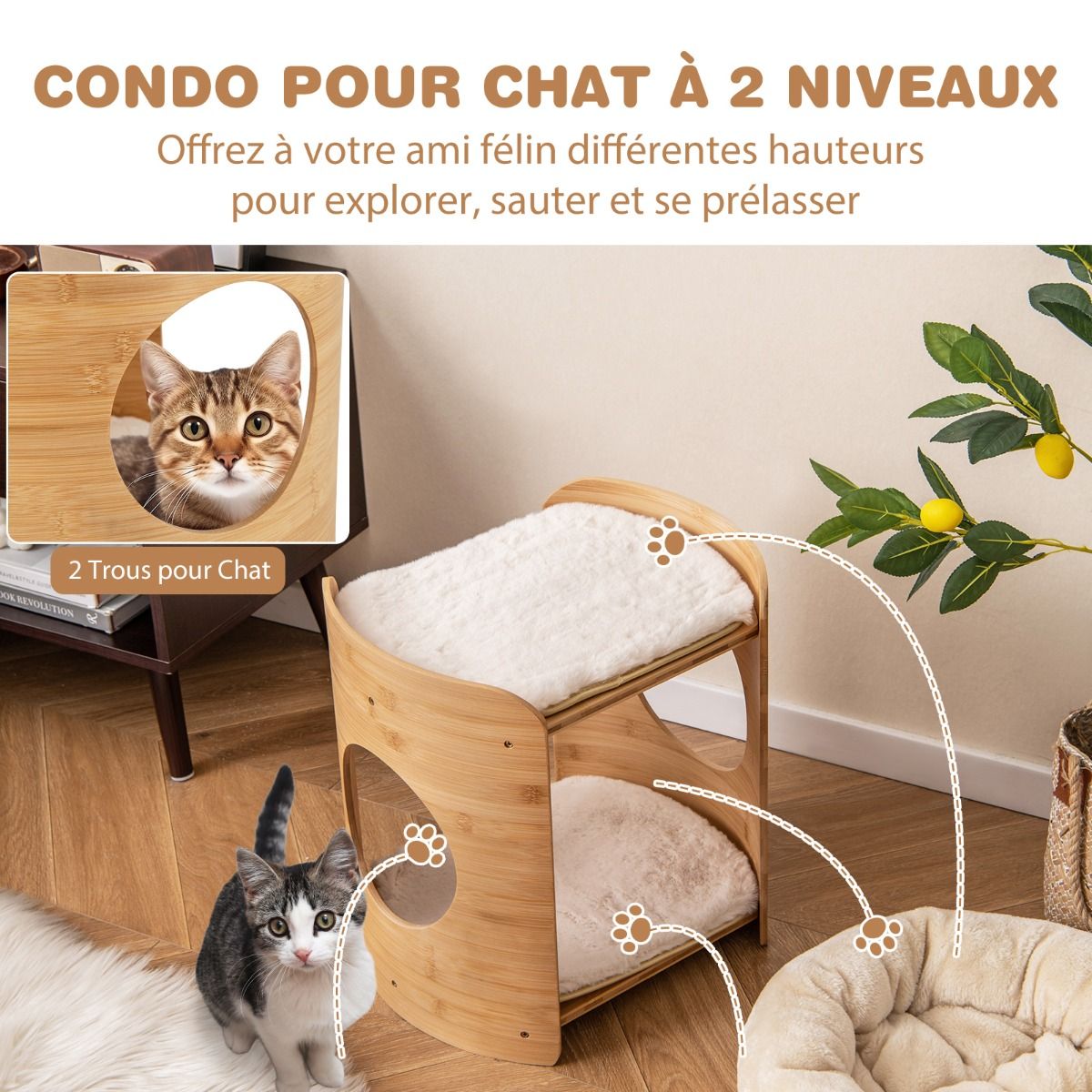 tour_pour_chat_sur_lev_e-pv10149be-_10__2