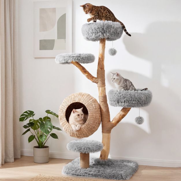 Arbre-a-Chat-en-Bois-Massif-Poirier-137-cm-Tour-pour-Chat-5-Niveaux-Niche-Tress-e-Coussins-Doux-Amov-mediaId105150859-1783395923