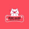 Félins Malins