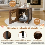pv10016cf-liti_re_pour_chat_2_
