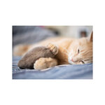 coussin-a-la-valeriane (2)