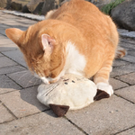 612900_aum_ller_baldi_willy_katzenspielkissen_cr_me_1000x1000_hs_04_7