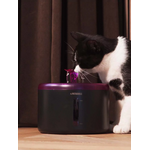 437130-Spring-20-video_still-3