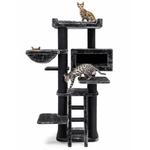435993-Estate-170-pepper-4-375x500