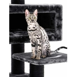 435993-Estate-170-pepper-3-375x500