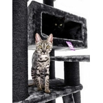 435993-Estate-170-pepper-13-375x500