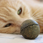 balle-d-herbe-a-chat (2)