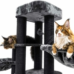 437455-Interstate-199-pepper-23-500x500