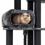 437455-Interstate-199-pepper-19-500x500