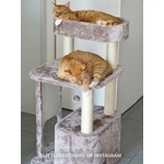 431124-LITTLEREDTIGERS2-373x500