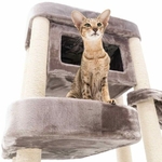 435997-Mansion-150-cappuccino-12-500x500
