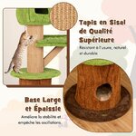 arbre_chat-84021379_9_