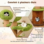 arbre_chat-84021379_6_