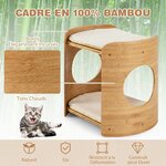 tour_pour_chat_sur_lev_e-pv10149be-_1_