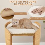 tour_pour_chat_sur_lev_e-pv10149be-_2_