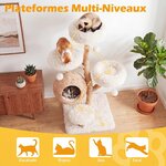 Arbre-a-Chat-en-Bois-Massif-Poirier-137-cm-Tour-pour-Chat-5-Niveaux-Niche-Tress-e-Coussins-Doux-Amov-mediaId105151243-1783395993
