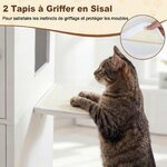Maison-de-Toilette-Chat-en-Bois-avec-Armoire-de-Rangement-Rabattable-2-Tapis-Griffer-en-Sisal-2-Plat-mediaId104463966-1778060104