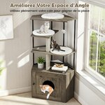 arbre_-24536180_3_