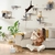 2plate-forme_a_2_niveaux-03652987