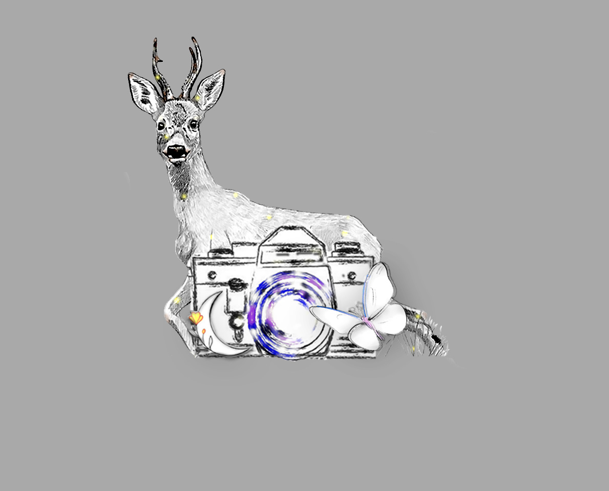 OhMyDeer