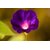 CSC_10
