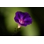 CSC_11