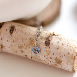 valentin-argent-logo2