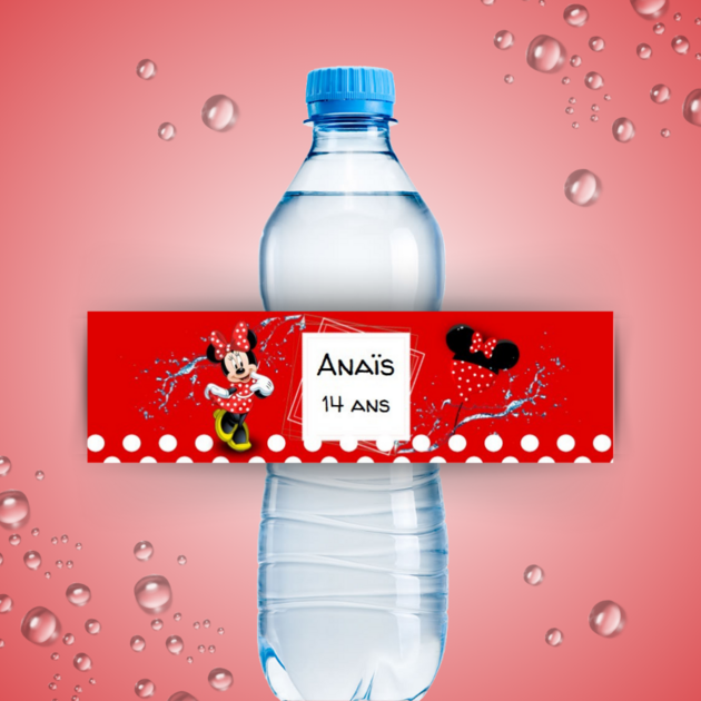 Bouteille à boire Disney Frozen 500 ml