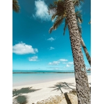 Photos gratuites de bech, ciel, eau