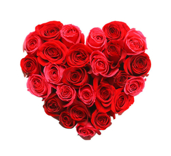 istockphoto-874103164-612x612