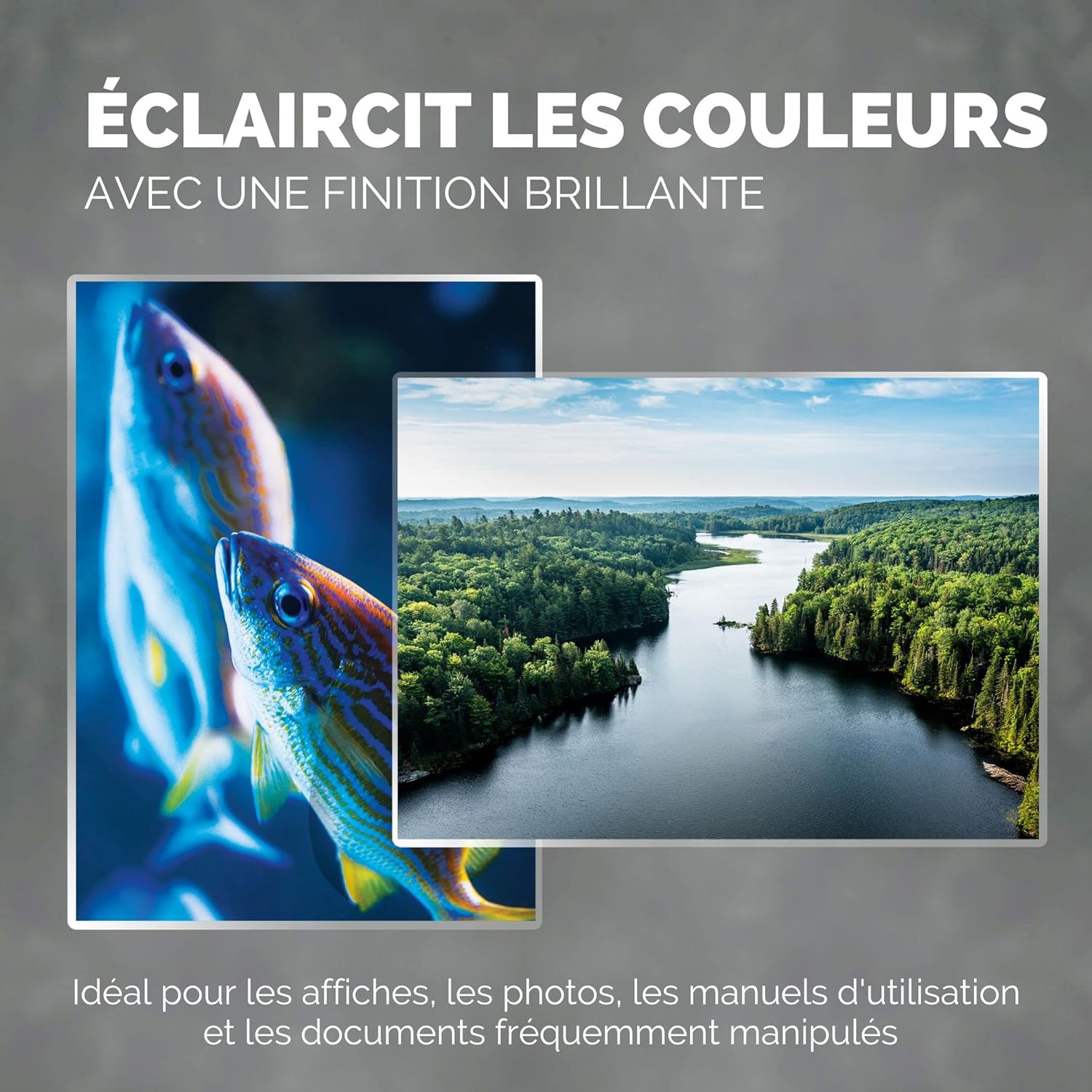 81e049HRjhL._AC_SL1500_