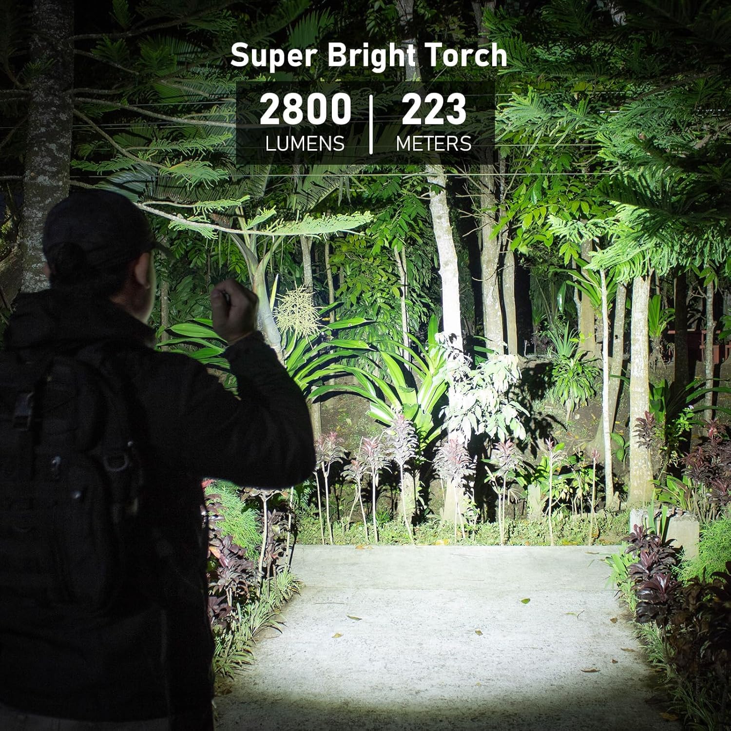 810a8DQx-WL._AC_SL1500_