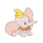 IMG_7653