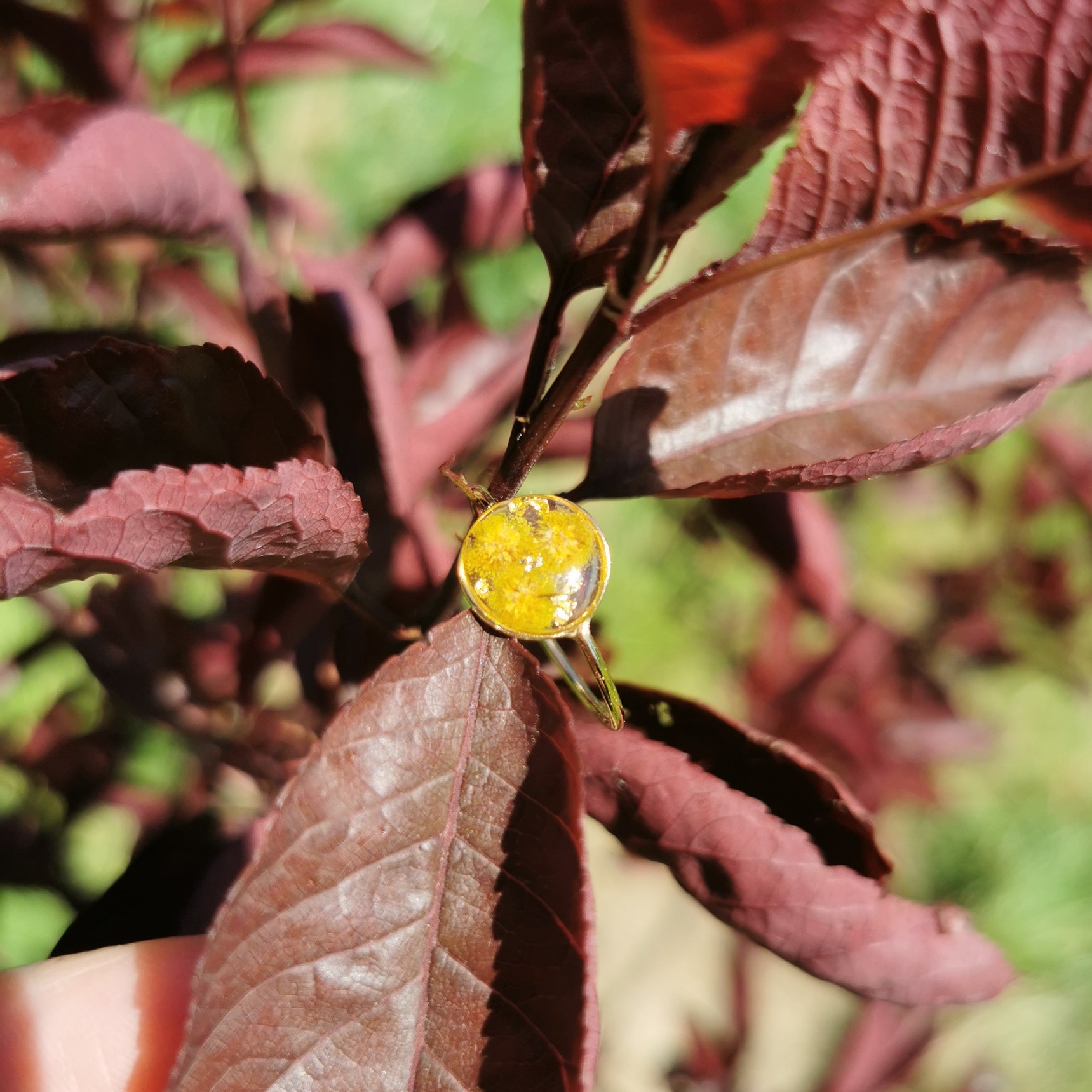 bague gold filled fleurs de mimosa sechees resine ecoresponsable