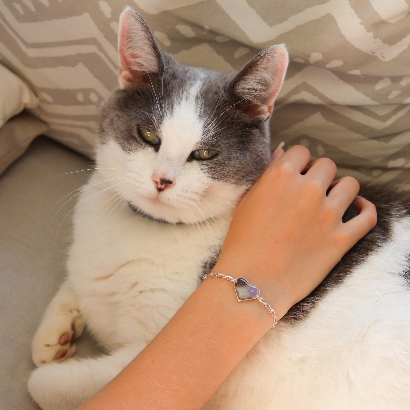 bracelet solide medaillon coeur argent 925 gold filled poils de chat chien