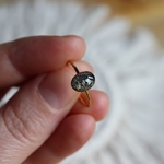 bague gold filled cabochon resine crin ou poils animaux et fleurs sechees