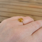 bague or lamine fleurs de mimosa sechees