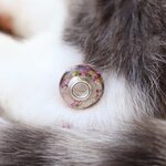 charm compatible pandora resine poils chien chat lapin crin cheval fleurs sechees argent 925