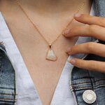 collier coeur gold filled argent 925 poils chat chien bijou souvenir