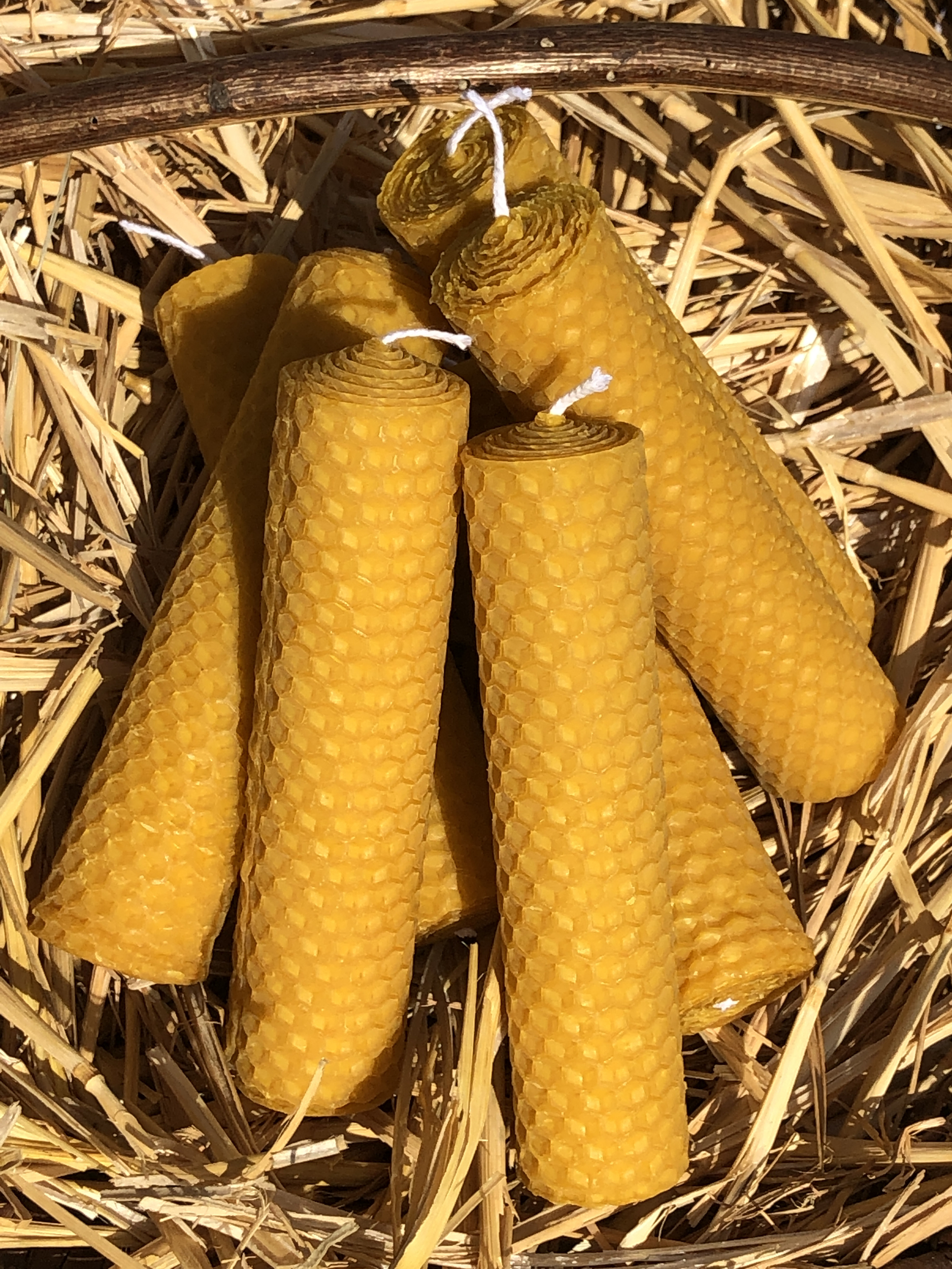 Bougies roulées, 13 cm en cire d’abeille naturelle