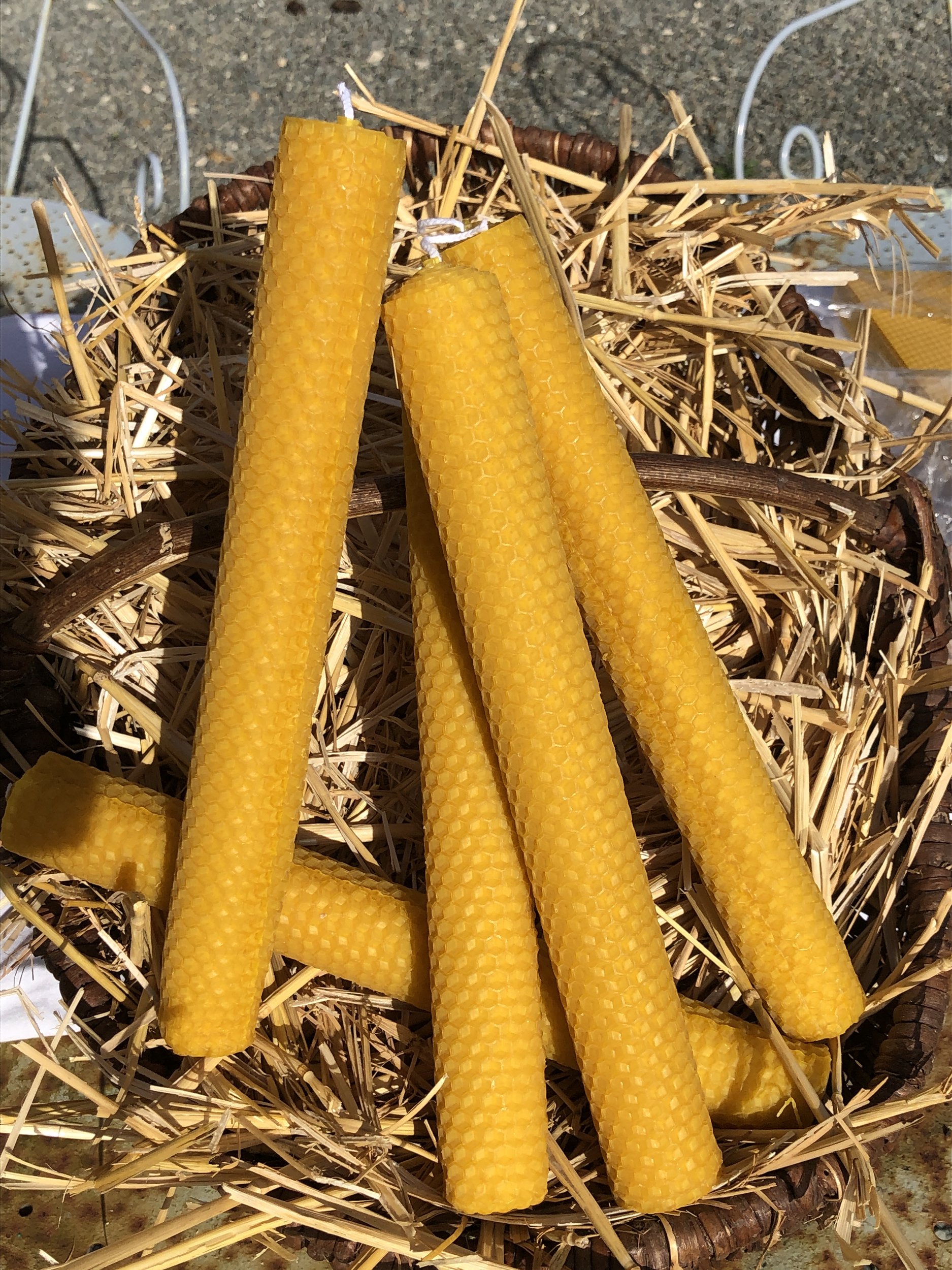 Bougies roulée, 26 cm en cire d’abeille naturelle