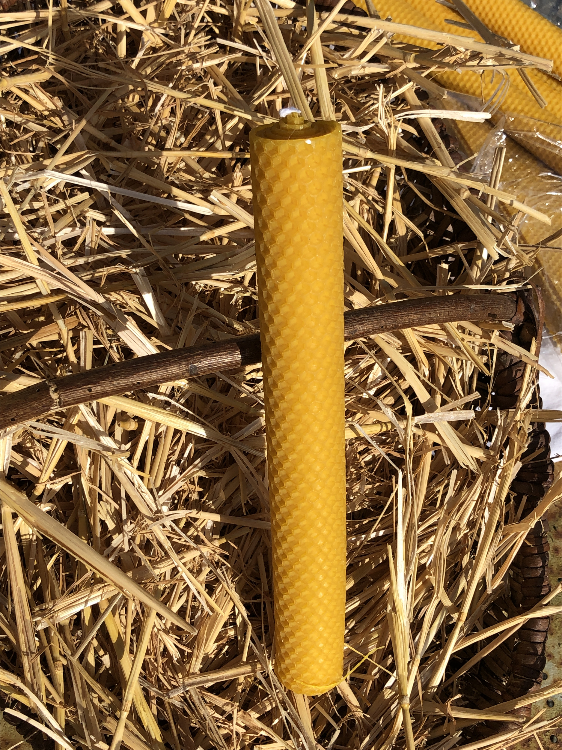 Bougie roulée en cire d’abeille — 26 cm