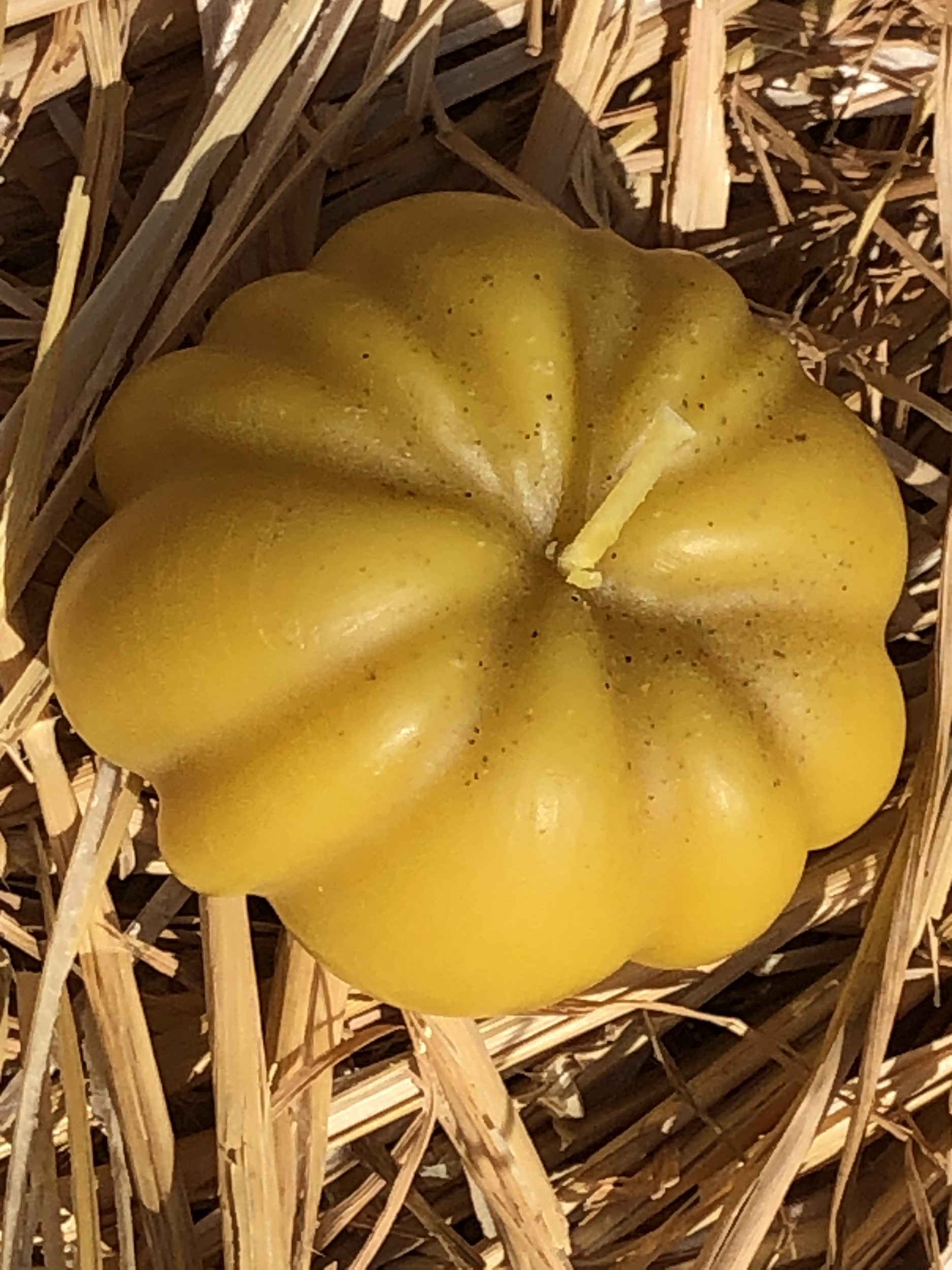 Bougie, citrouille en cire d’abeille naturelle