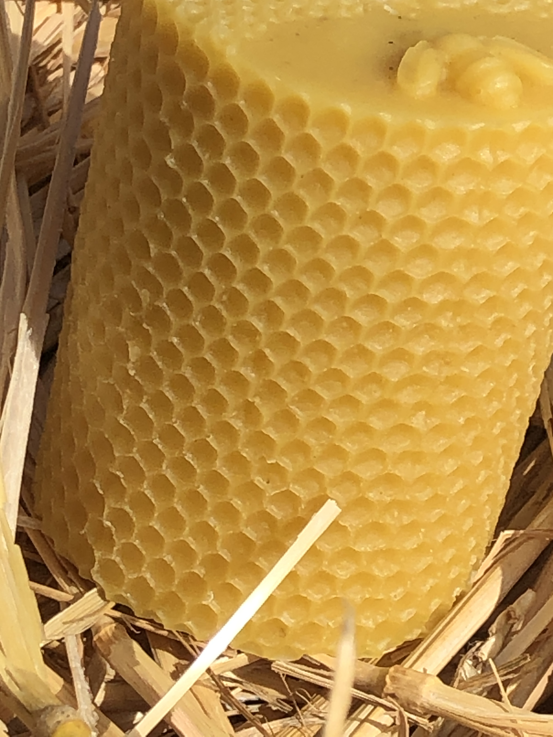 Bougie cylindre, cire d’abeille naturelle
