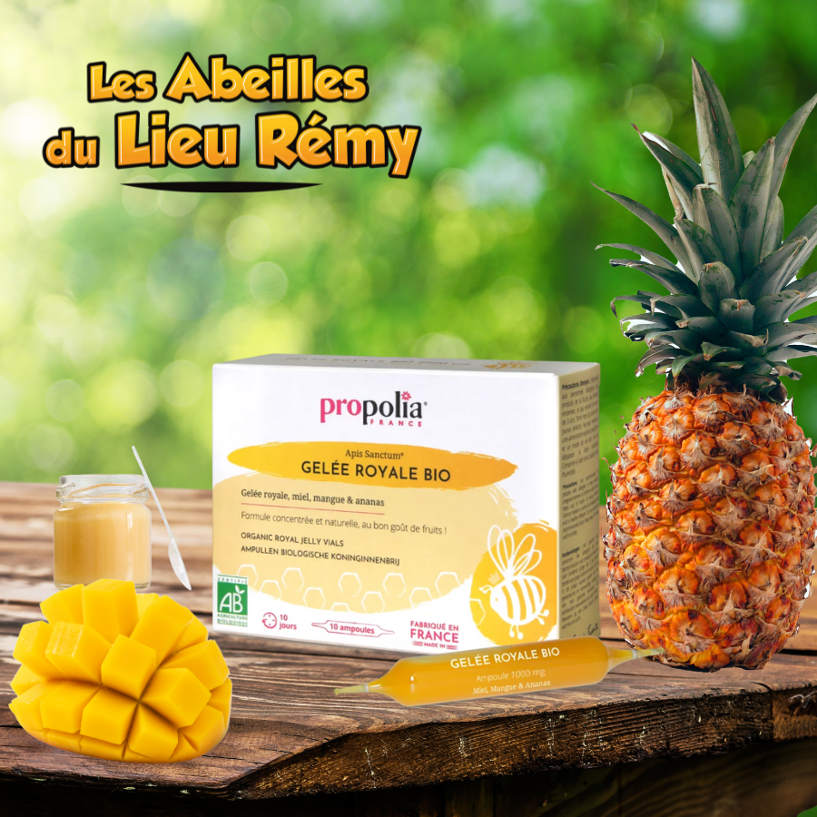 Ampoule de gelée royale bio