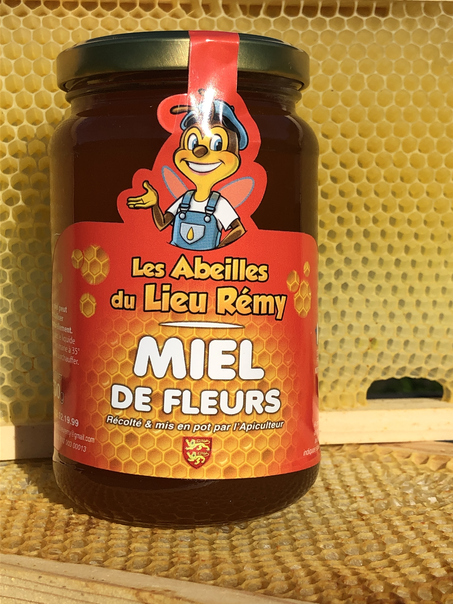 Miel d’été les abeilles du lieu, Remy 500 g